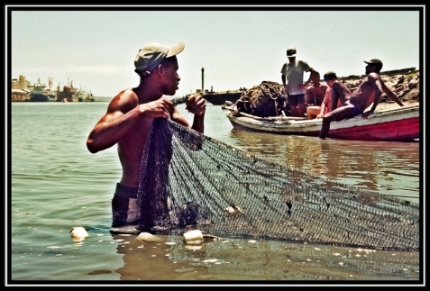 - Homem Pescando com Rede - Porto ao Fundo - Recife - 40440114